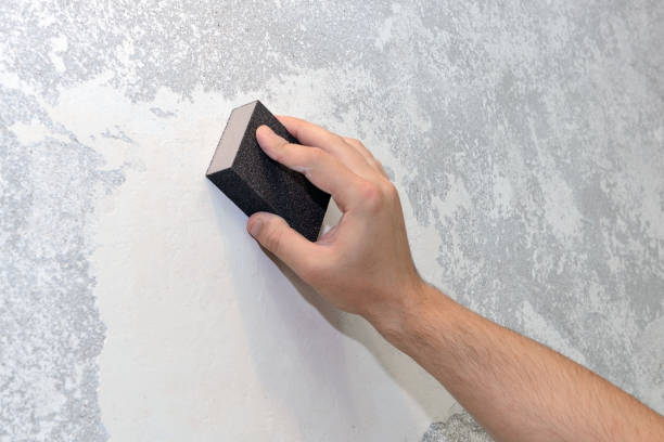 Best Asbestos and Lead Testing During Mold Inspection  in La Plata, MD