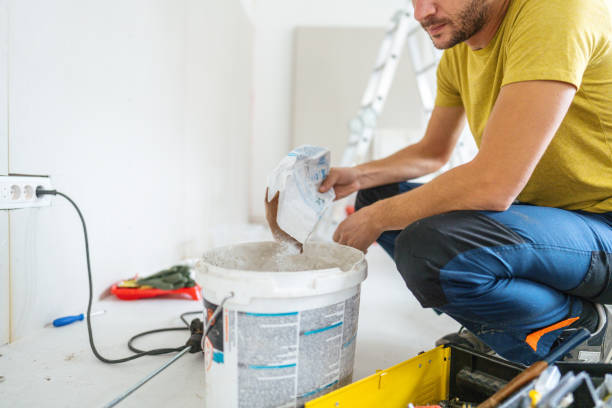Best Mold Remediation for Vacation Homes  in La Plata, MD