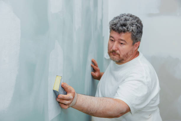 Reliable La Plata, MD Mold Removal Solutions