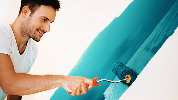 Best Emergency Mold Remediation  in La Plata, MD