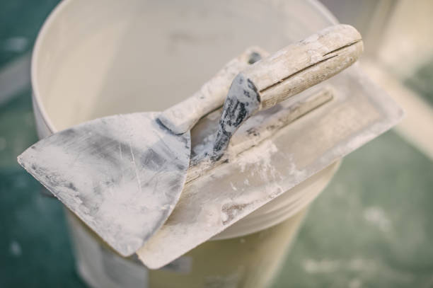 Best Attic Mold Removal  in La Plata, MD